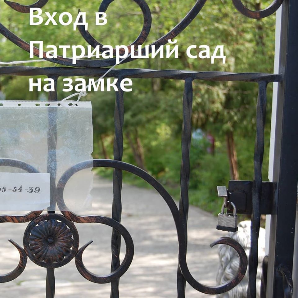Безумие_2.jpg