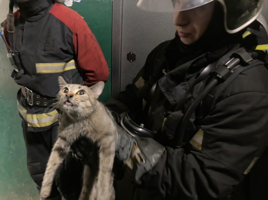ВладимирПожарГагарина_08-03-21_4.jpg ВладимирПожарГагарина_08-03-21_4.jpg