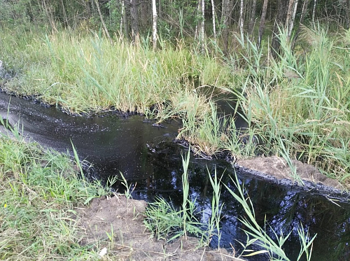 РазливБитумаСудогодскийРайон_08-08-21.jpeg