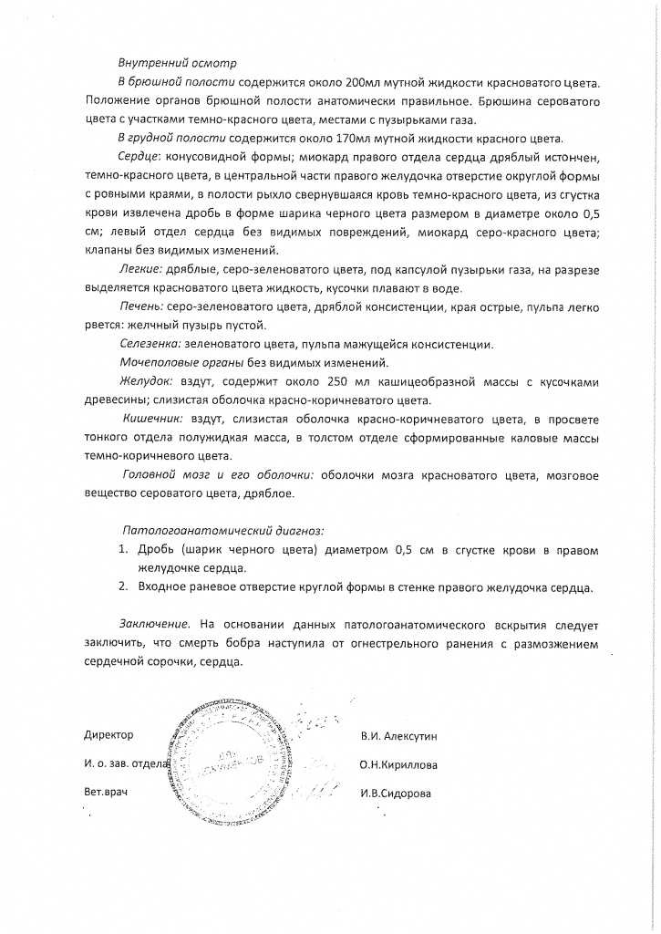 Исследования бобра 1.jpg Исследования бобра 1.jpg