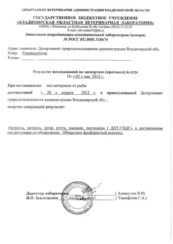 Исследование рыбы.jpg Исследование рыбы.jpg