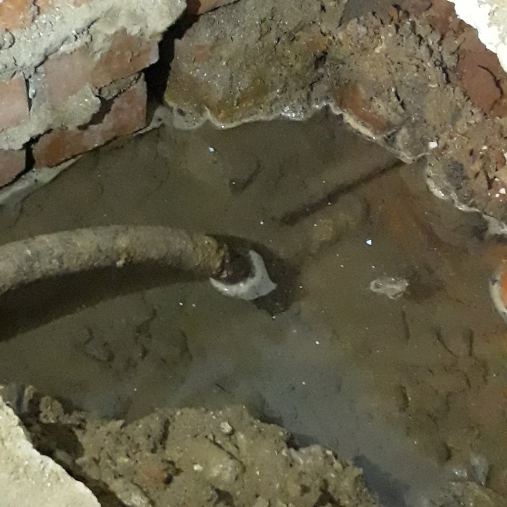 20171211_211117.jpg 20171211_211117.jpg