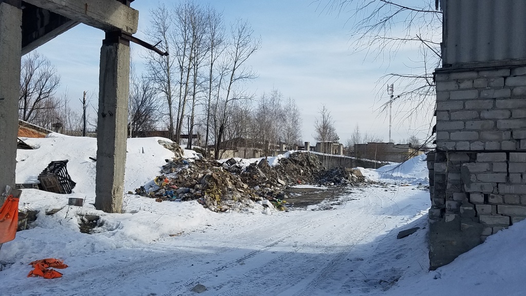 20190315_120143.jpg