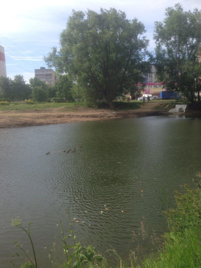 Пруд_Комиссарова_2.jpg Пруд_Комиссарова_2.jpg