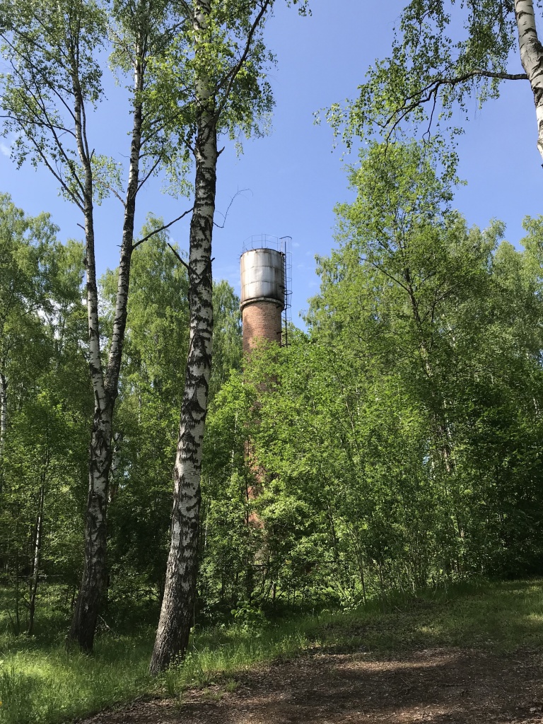 77.JPG