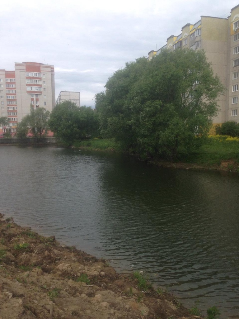 Пруд_Комиссарова_1.jpg