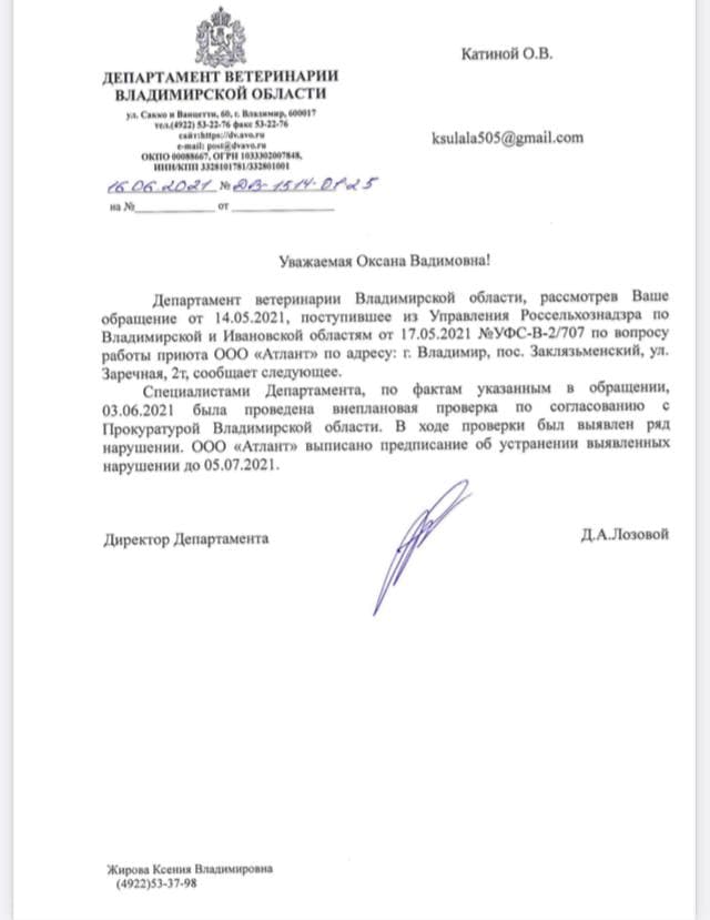 БездомныеЖивотныеСитуация.jpg