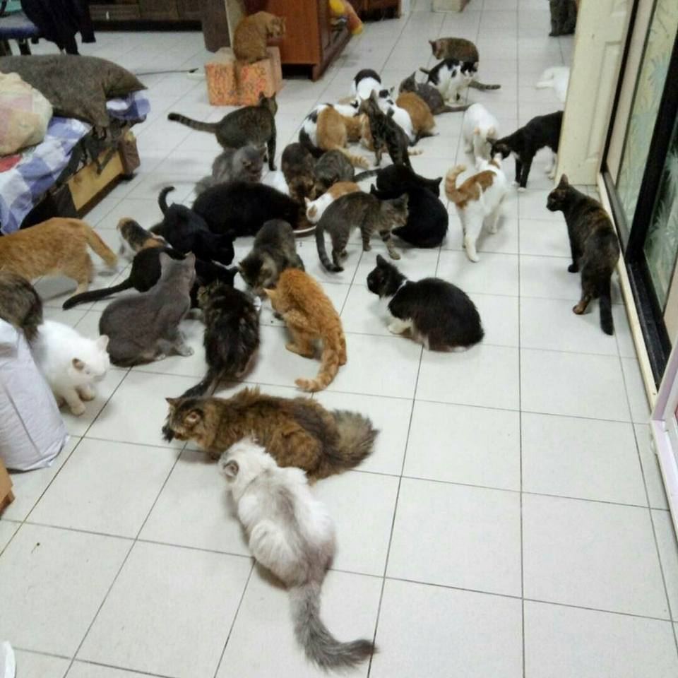 4.jpg 4.jpg