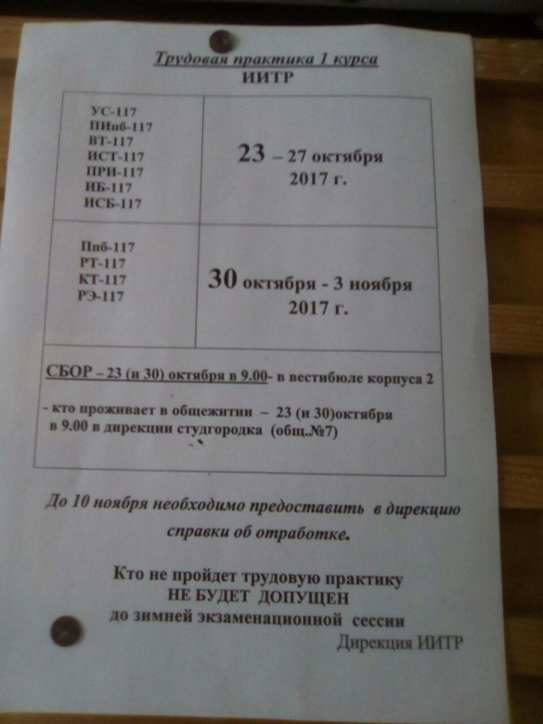 Студенты на уборке_2.jpg Студенты на уборке_2.jpg