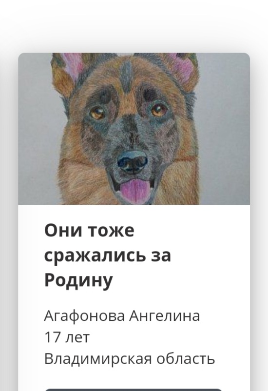 Собаки-герои_2.jpg