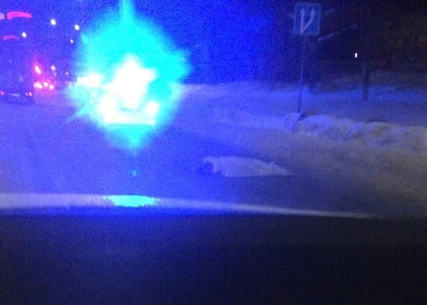 Авария_Гибель_ВД_25-02-21_2.jpg