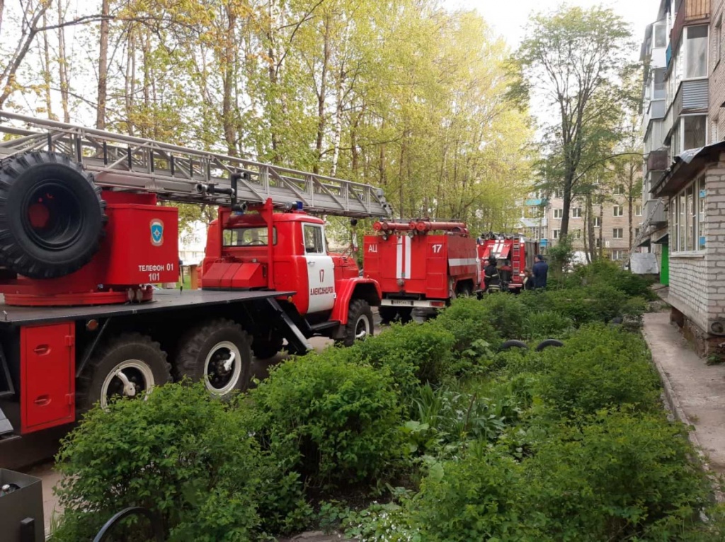 Пожар_Александров_19-05-2020-3.JPG