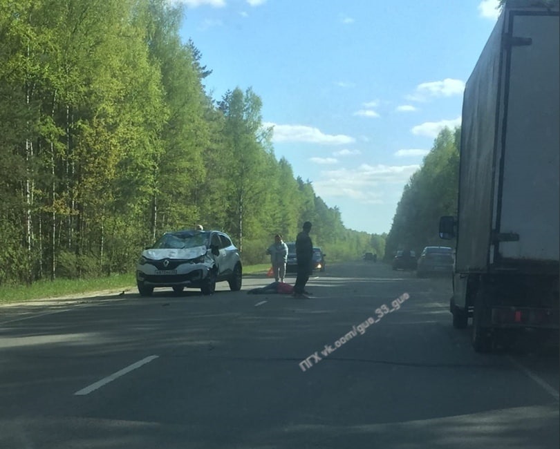 Сбили девушку на лошади, фото - Вконтакте