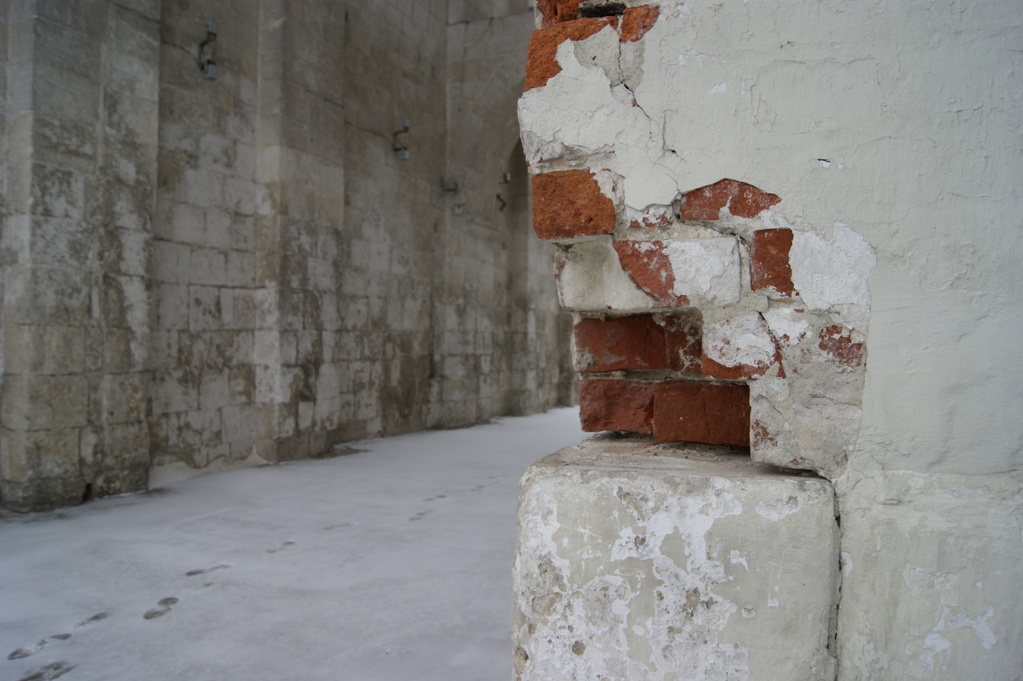 _DSC9073.JPG