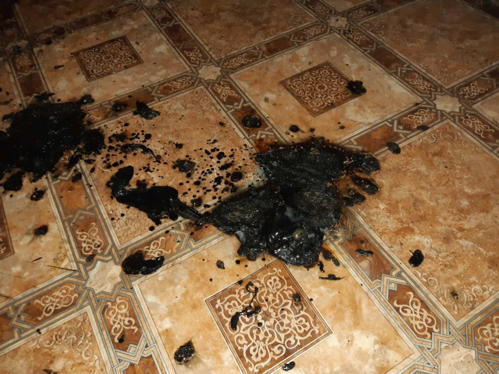 Пожар_Детсад_ГХ_11-02-21_2.jpg
