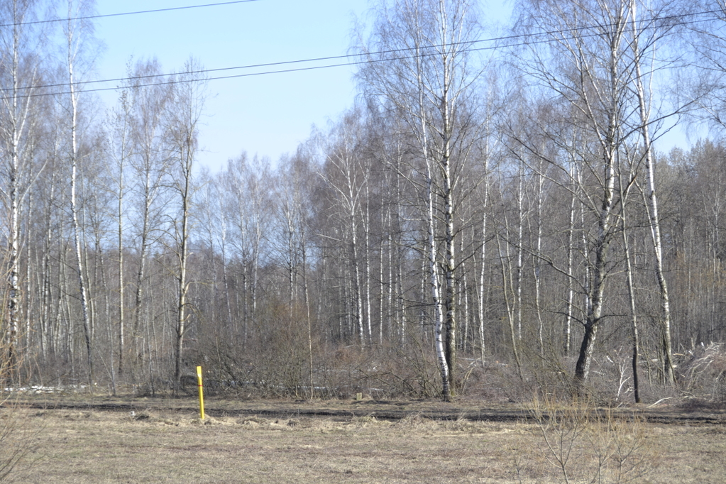 _DSC0004.JPG