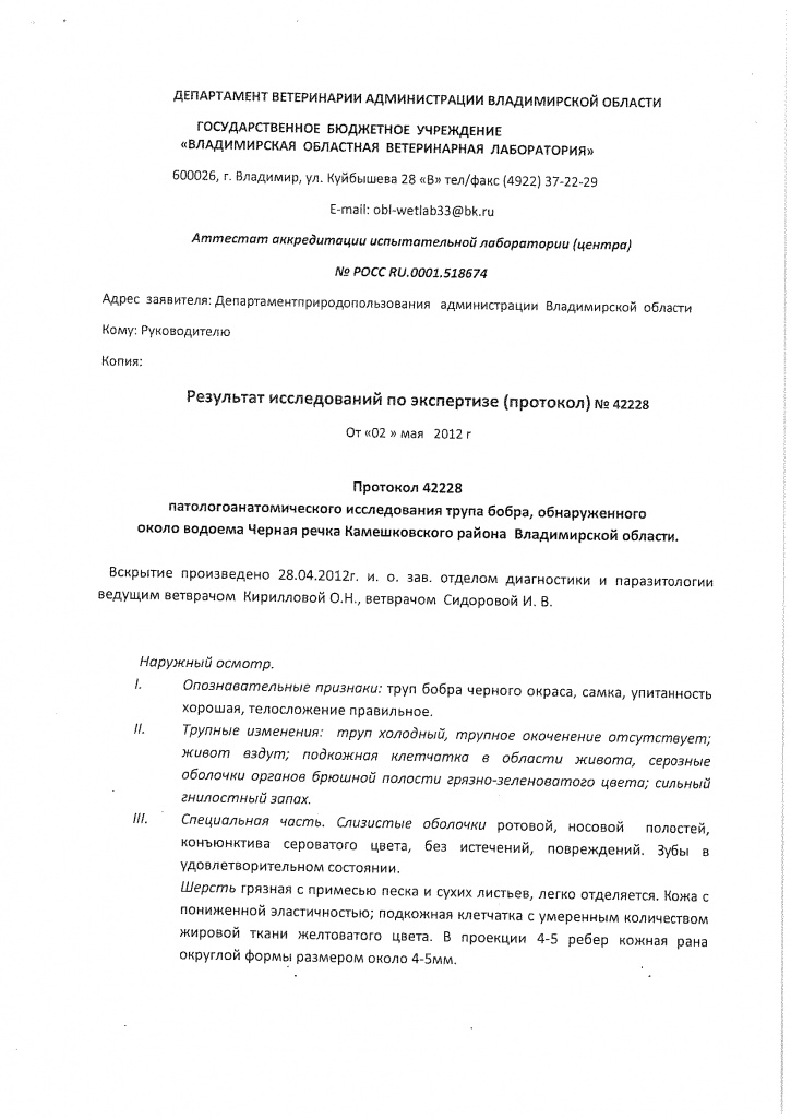 Исследование бобра.jpg Исследование бобра.jpg