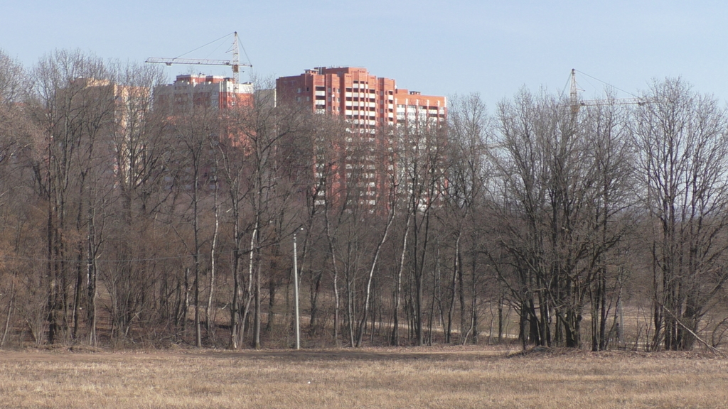 S9960011.JPG