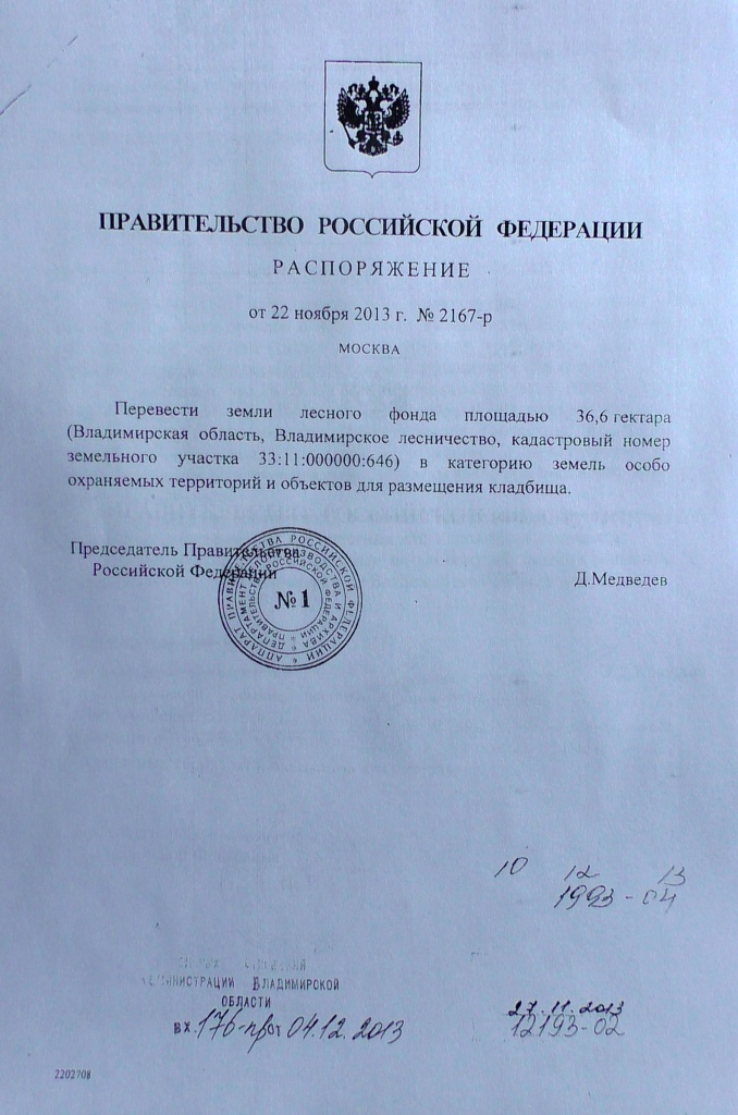 медвед.jpg
