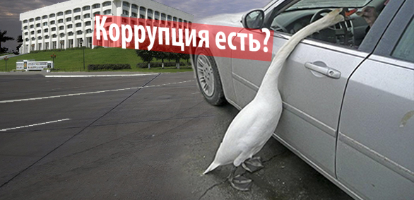 Лебедь.jpg