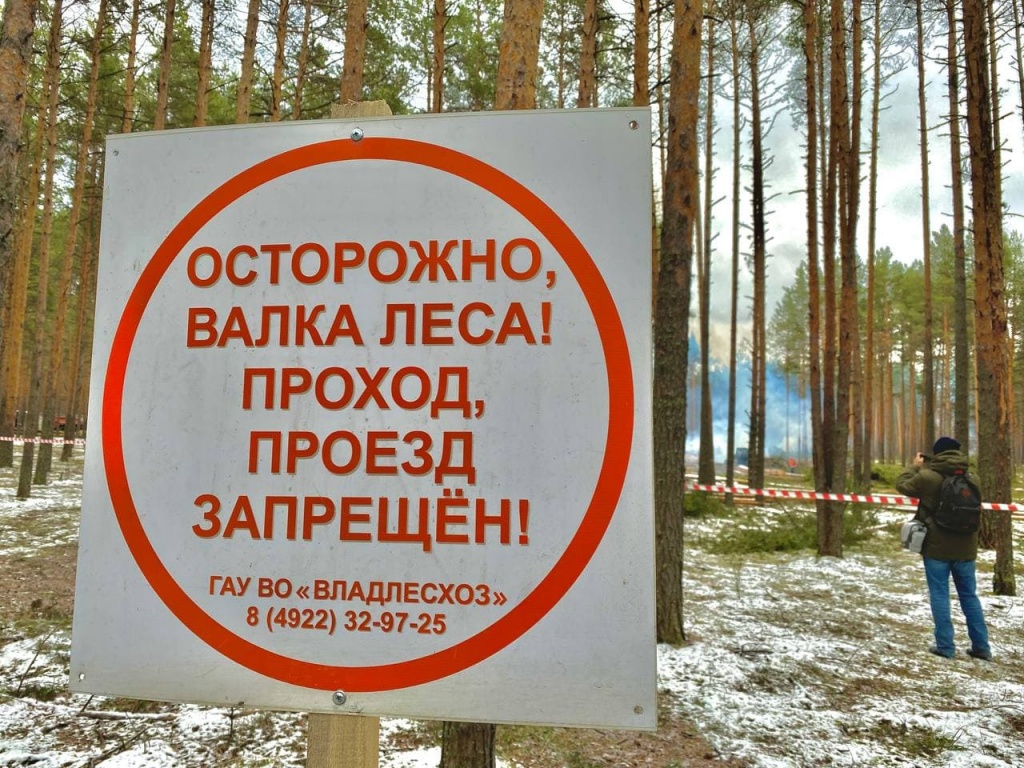 КовидСтройка_1.jpg