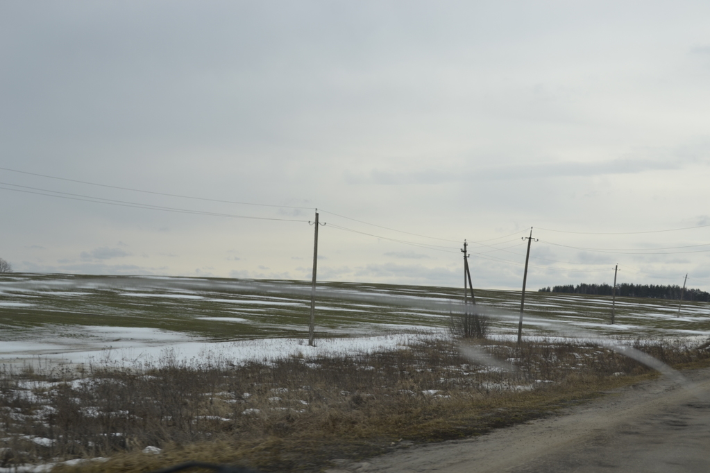 _DSC0845.JPG