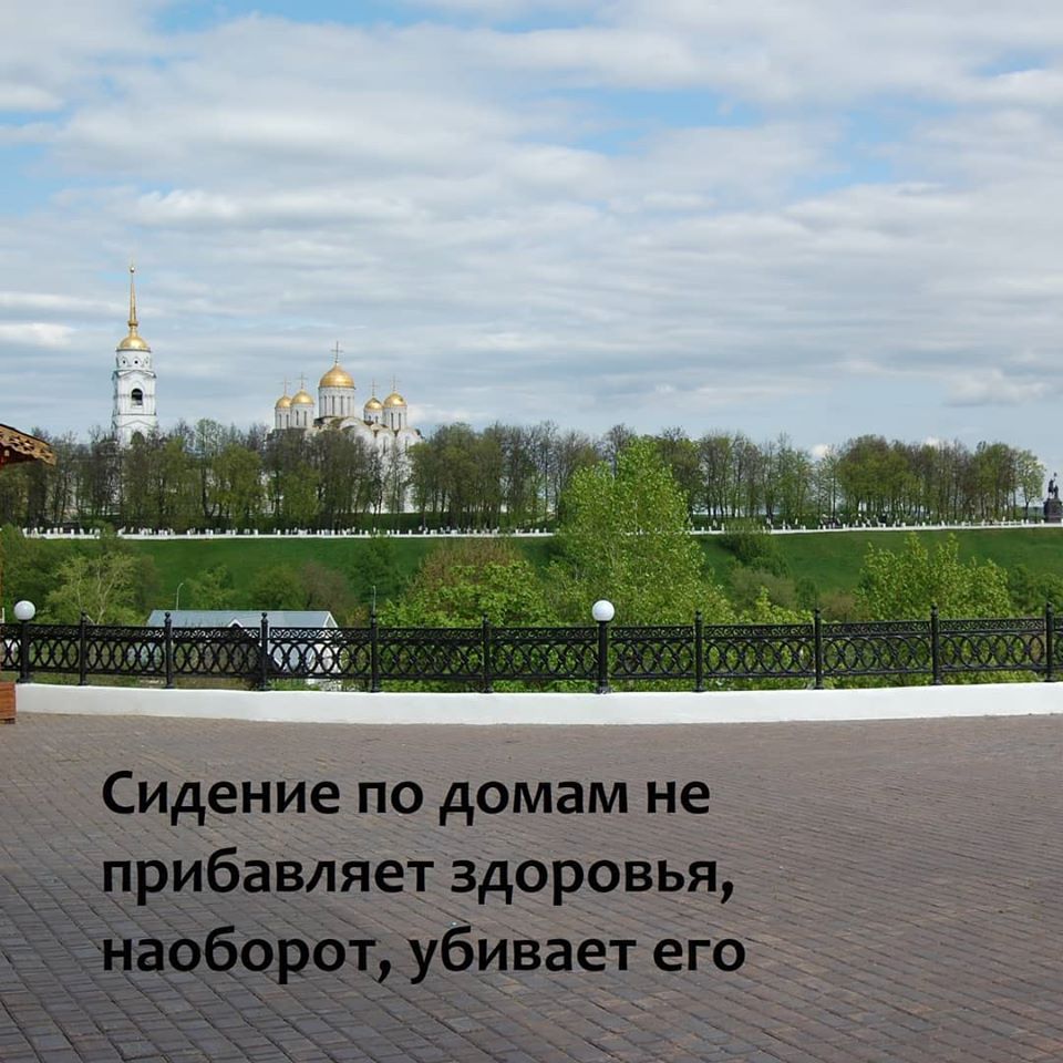 Безумие_4.jpg