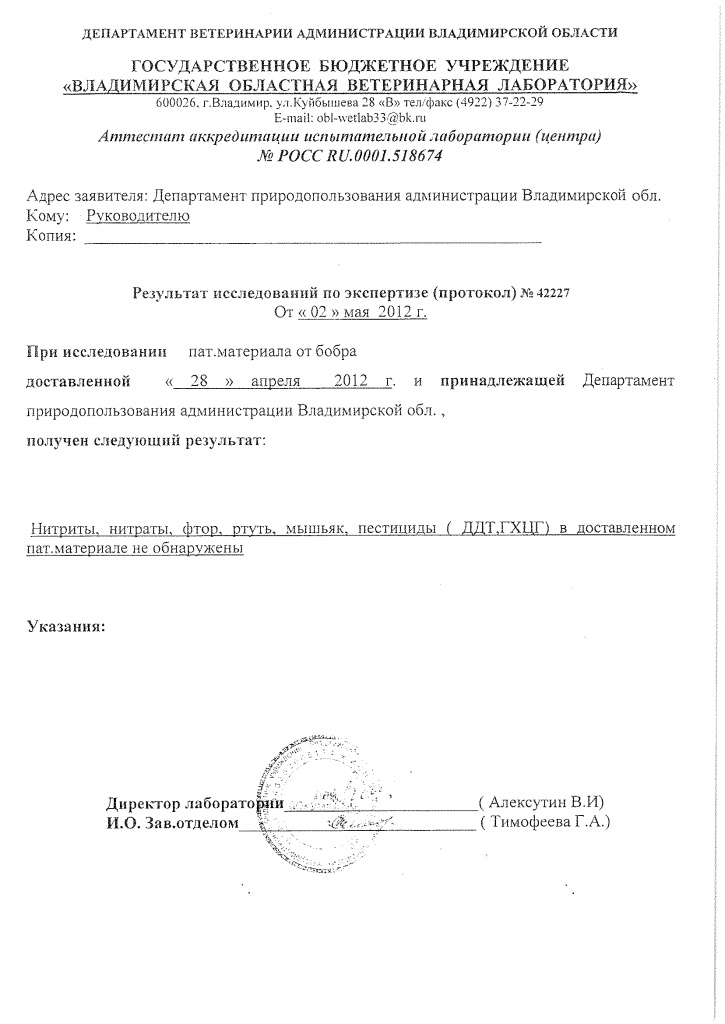 Исследование бобра 2.jpg Исследование бобра 2.jpg